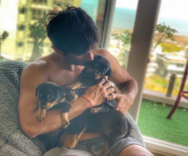 A day before death, Sushant Singh Rajput sent funds for his dogs Amar, Akbar and Anthony